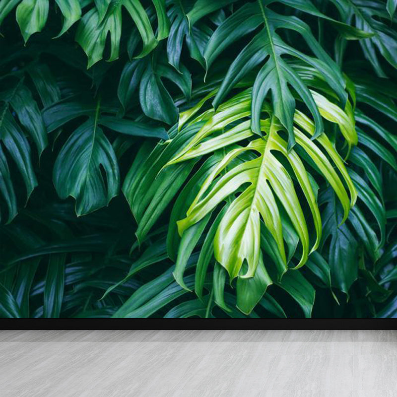 Foliage Mural Decal Tropical Ornamental Girls Bedroom Wall Covering, Personalize