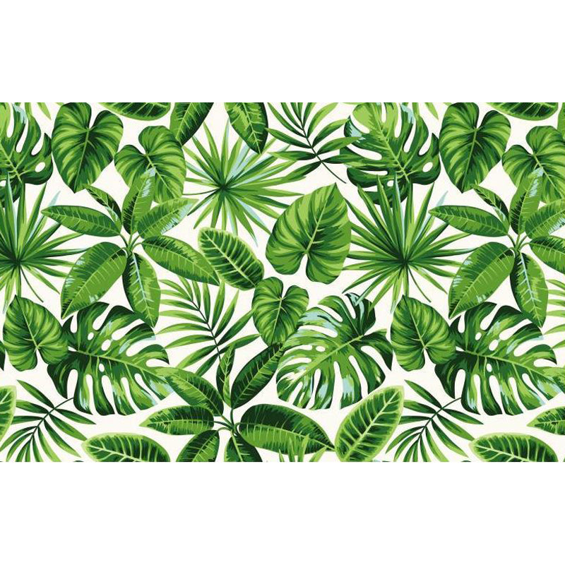 Peinture murale botanique tropicale naturelle, décoration murale décorative de couleur douce pour la cuisine