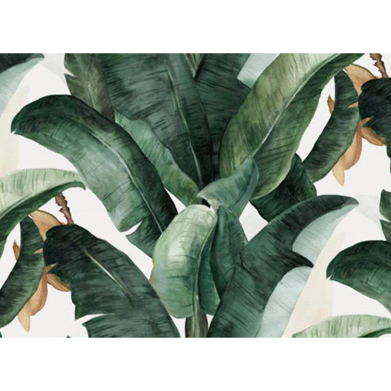 Non-Woven Ornamental Wall Mural Tropical Botanical Leaves Wall Covering, Personalised