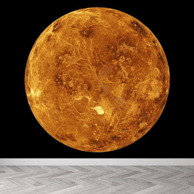 Contemporary Style Luna-Glob Mural Wallpaper Soft Color Outer Space Wall Covering