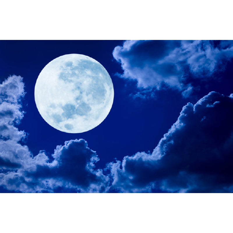 Contemporary Style Luna-Glob Mural Wallpaper Soft Color Outer Space Wall Covering