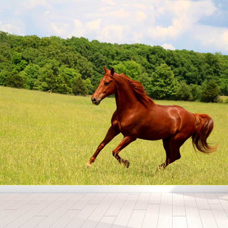 Contemporary Steed Wall Covering Mural in Dark Color Animal Wall Decor for Boys Bedroom