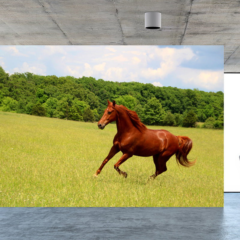 Revêtement mural contemporain en forme de cheval, décoration murale animale de couleur foncée pour chambre de garçon