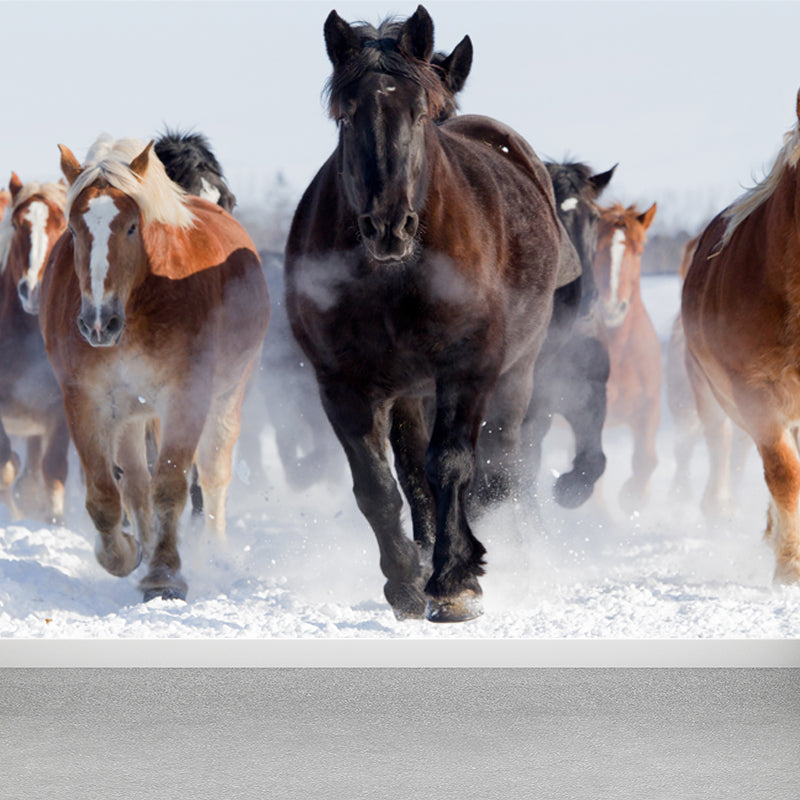 Horse Mural Wallpaper Dark Color Modern Style Wall Covering for Boys Room, Custom Size