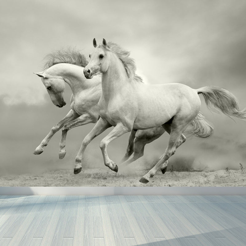 Photography Steed Wall Mural Decal Giant Wall Decor for Living Room, Made to Measure