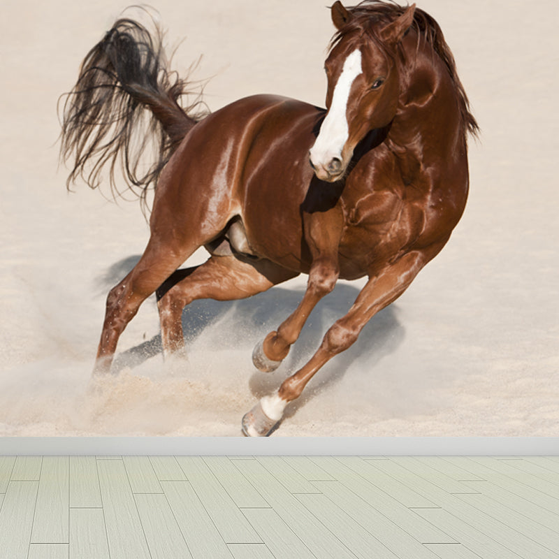 Photography Steed Wall Mural Decal Giant Wall Decor for Living Room, Made to Measure