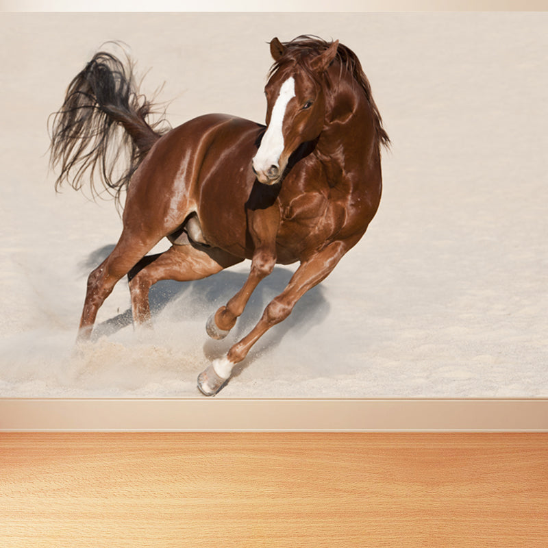 Photography Steed Wall Mural Decal Giant Wall Decor for Living Room, Made to Measure