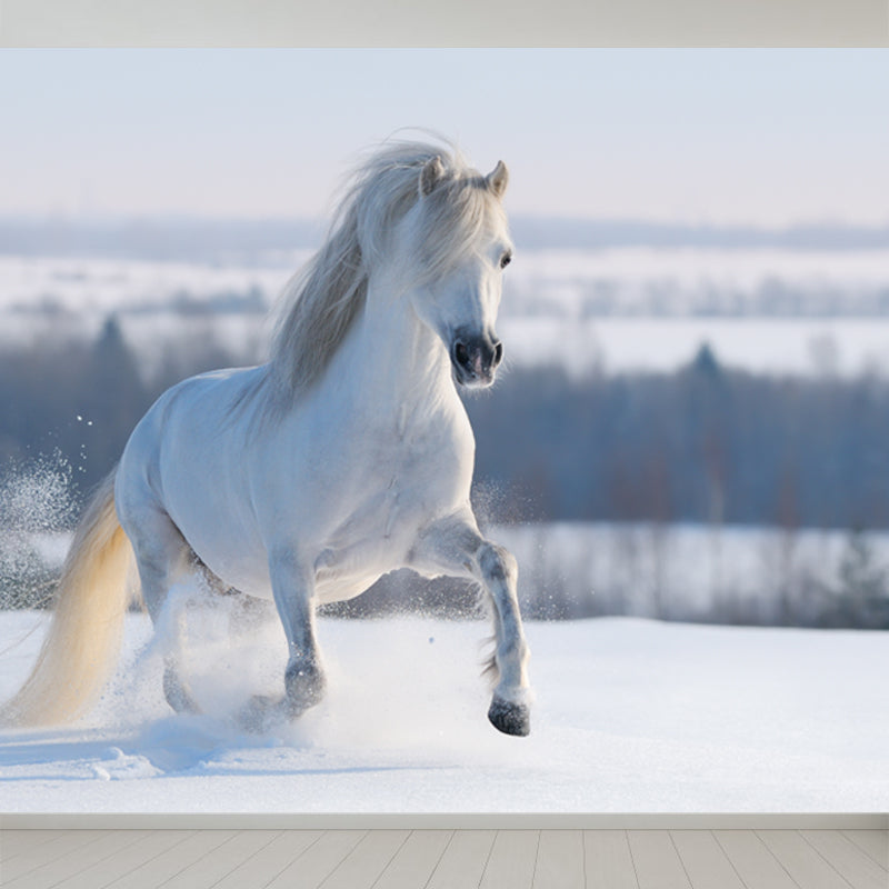 Photography Steed Wall Mural Decal Giant Wall Decor for Living Room, Made to Measure