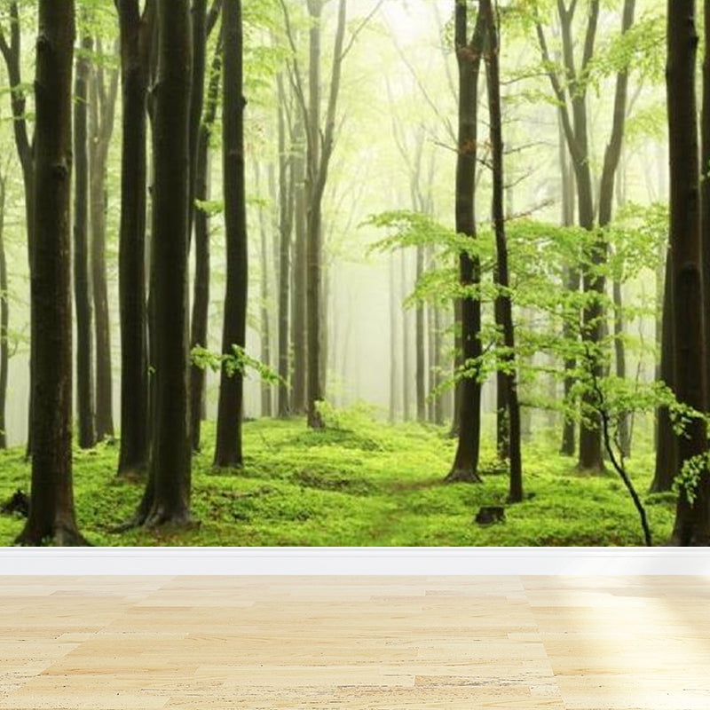 Modern Style Scenery Mural Decal Non-Woven Waterproofing Pastel Wall Art for Home