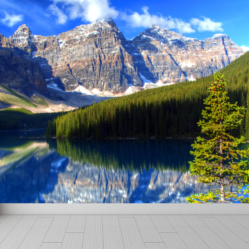 Stain Resistant Sky Scenery Mural Decal Non-Woven Modern Wall Decor for Girls Room