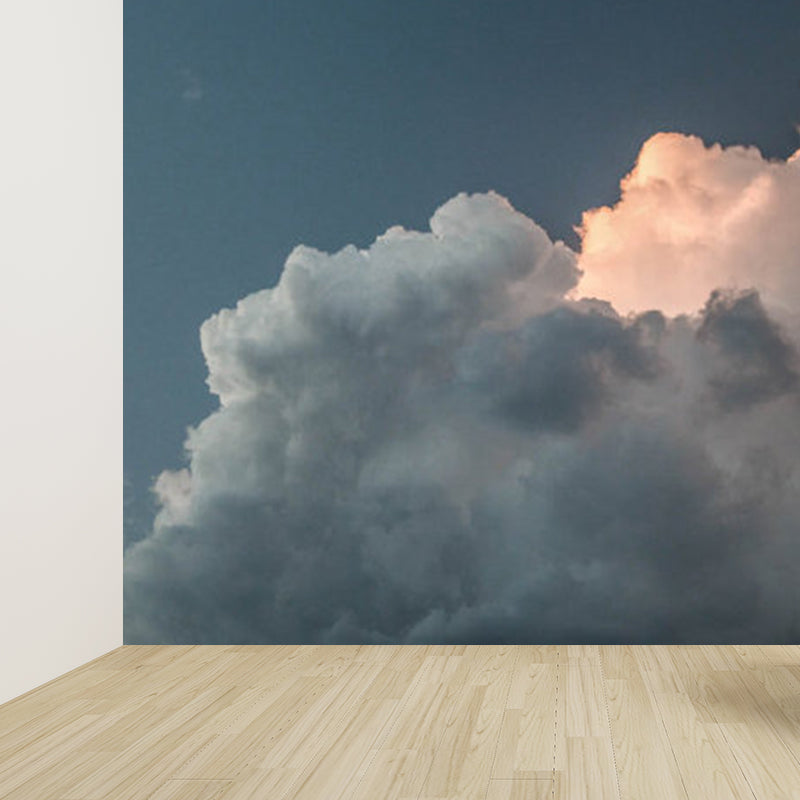 Stain Resistant Sky Scenery Mural Decal Non-Woven Modern Wall Decor for Girls Room