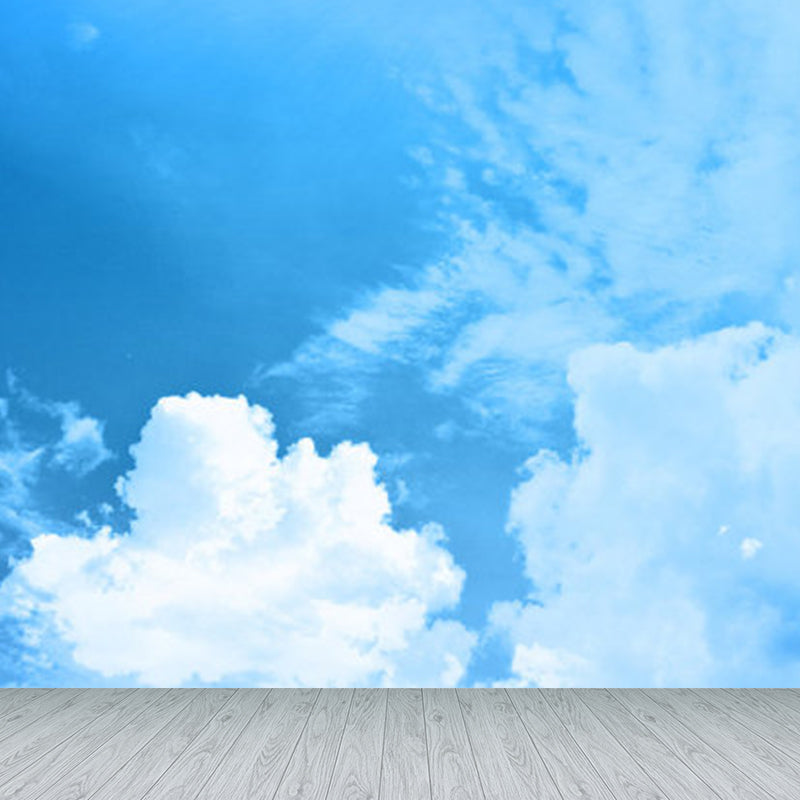 Contemporary Sky Wall Mural Non-Woven Textured Stain Resistant Light Color Wall Art for Playroom