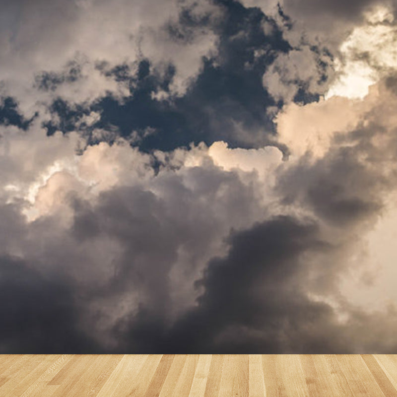 Contemporary Sky Wall Mural Non-Woven Textured Stain Resistant Light Color Wall Art for Playroom