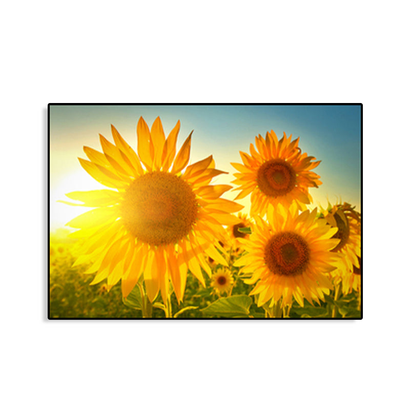 Modern Photographs Sunflower Art Print Bright Textured Wall Decor for Kids Bedroom