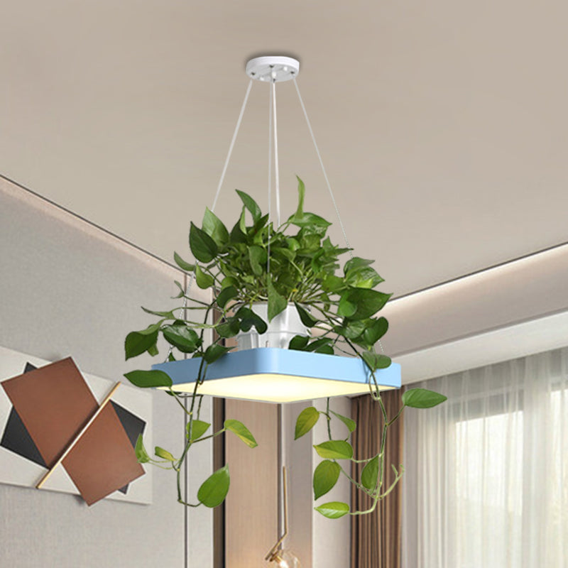 LED Chandelier Light Fixture Antiqued Dining Room with Square Acrylic Shade in Black/White/Blue, 16"/19.5" W