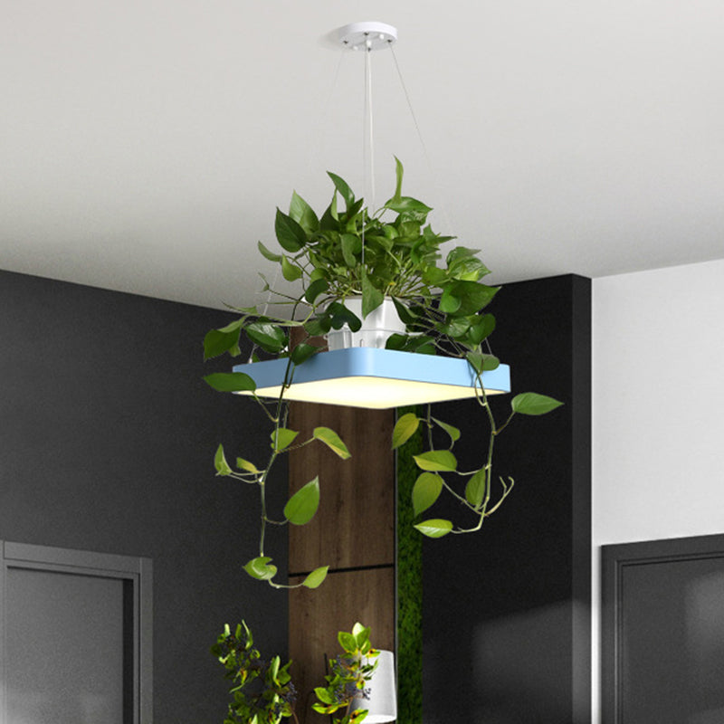 LED Chandelier Light Fixture Antiqued Dining Room with Square Acrylic Shade in Black/White/Blue, 16"/19.5" W