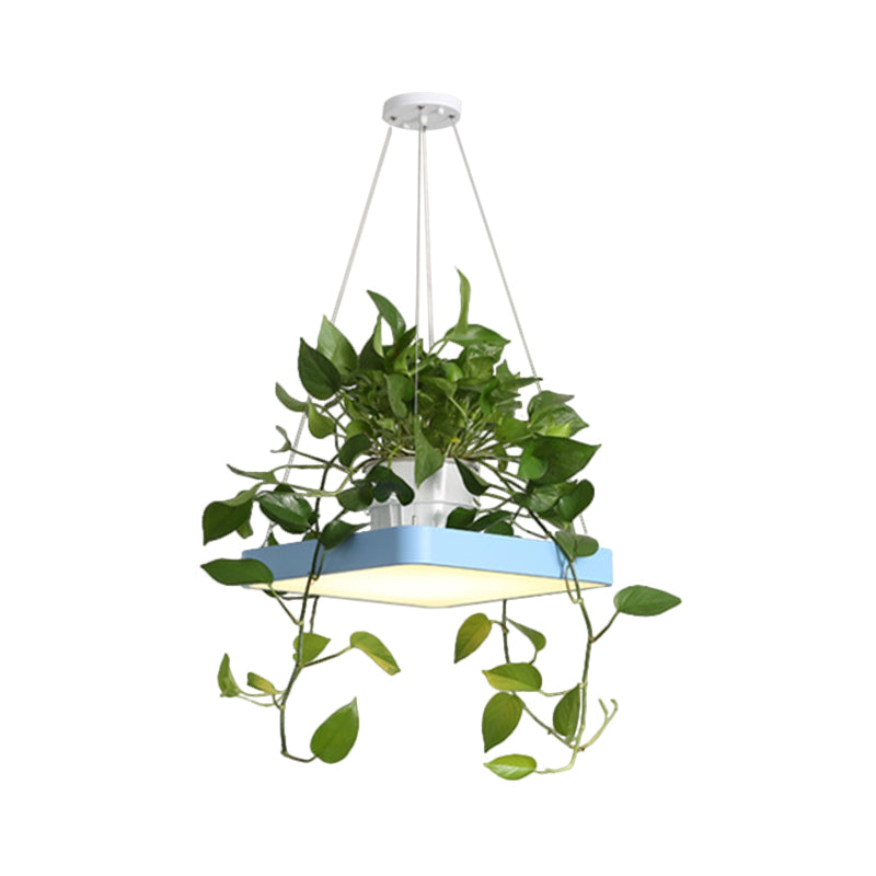 LED Chandelier Light Fixture Antiqued Dining Room with Square Acrylic Shade in Black/White/Blue, 16"/19.5" W