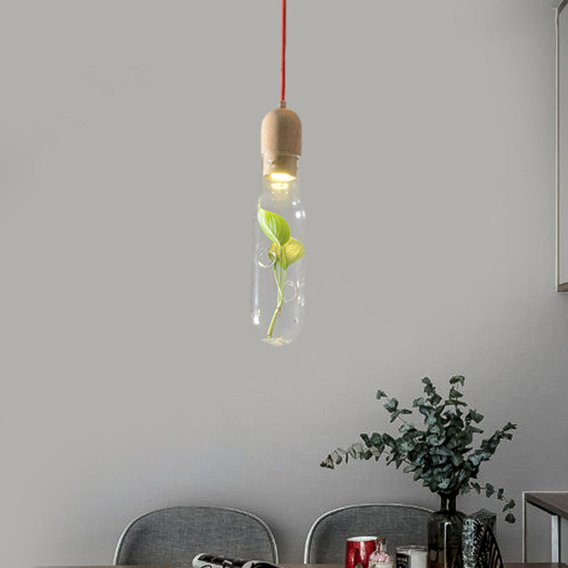 1-Head Ceiling Pendant Factory Bottle Clear Glass LED Pendulum Light with Inner Plant Deco