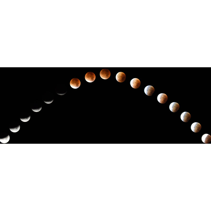 Whole Astronomy Wall Covering Mural Modern Complete Lunar Eclipse Wall Art in Black