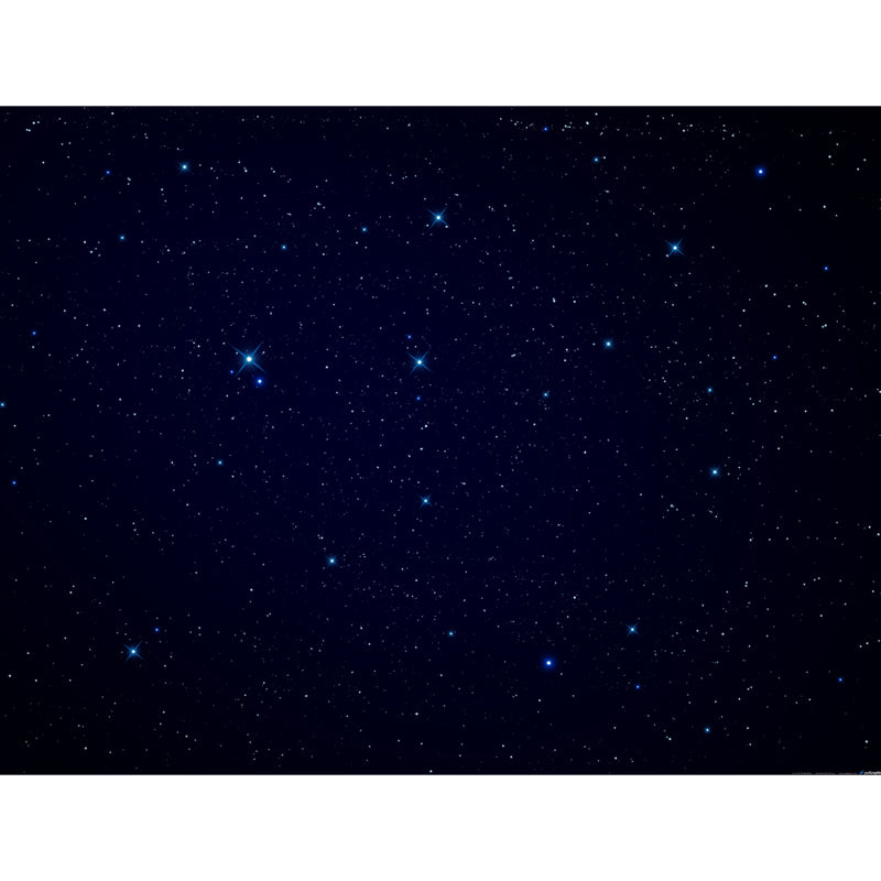 Whole Glittering Star Wall Mural Modern Resplendent Night Sky Wall Covering in Black
