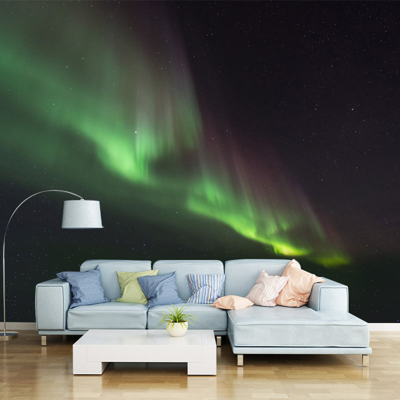 Polar Light Print Wall Mural Contemporary Non-Woven Wall Decor in Green on Black