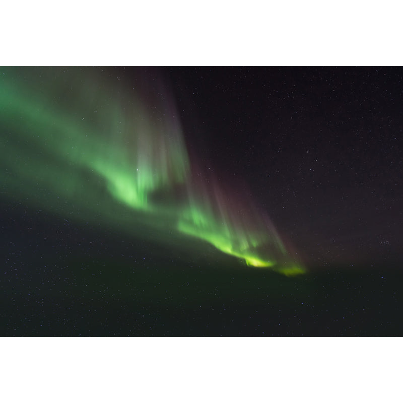 Polar Light Print Wall Mural Contemporary Non-Woven Wall Decor in Green on Black