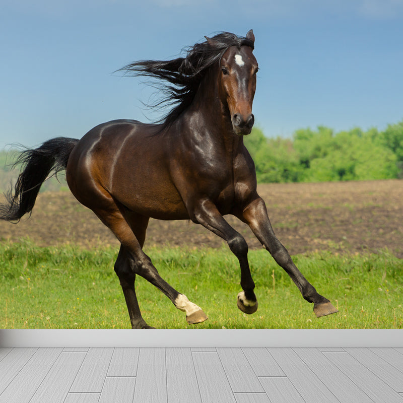 Extra Large Steed Mural Soft Color Non-Woven Wall Art for Home Decor, Custom Printed