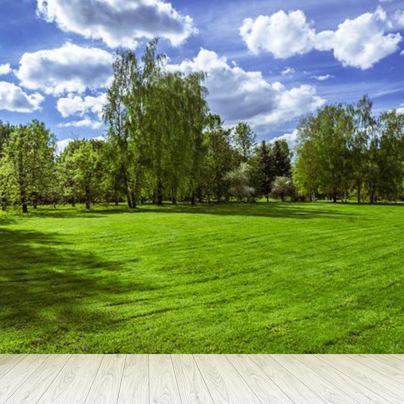 Large Sky Scenery Wall Mural Contemporary Natural Landscape Wall Decor in Pastel Color