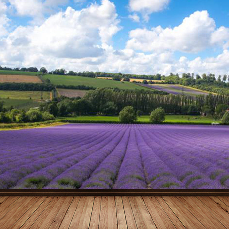 Large Sky Scenery Wall Mural Contemporary Natural Landscape Wall Decor in Pastel Color