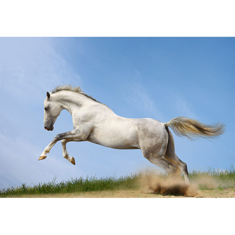 Big Energetic Horse Mural Wallpaper Decorative Contemporary Dining Room Wall Decor