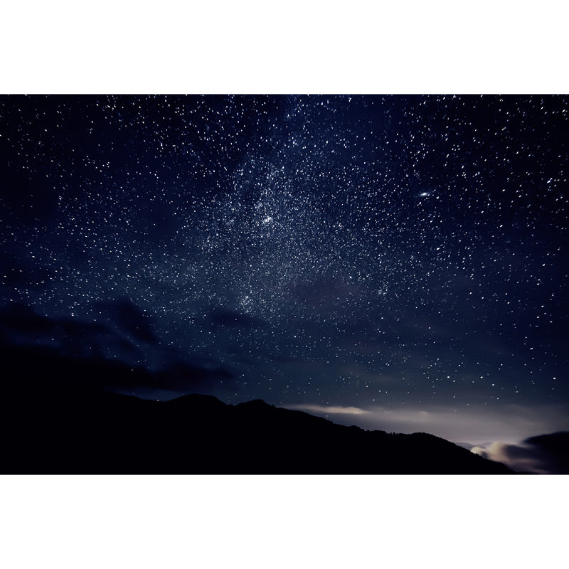 Blue-Black Starry Sky Mural Stain Resistant Wall Art for Living Room, Made to Measure