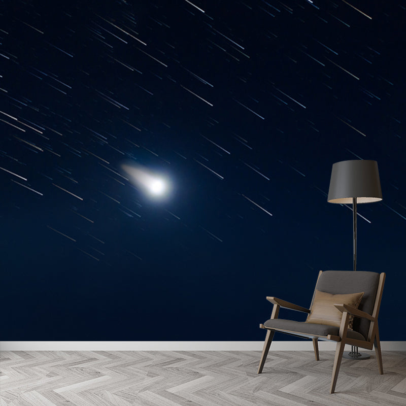 Dazzling Shooting Stars Mural Wallpaper for Bedroom, Black-White, Made to Measure