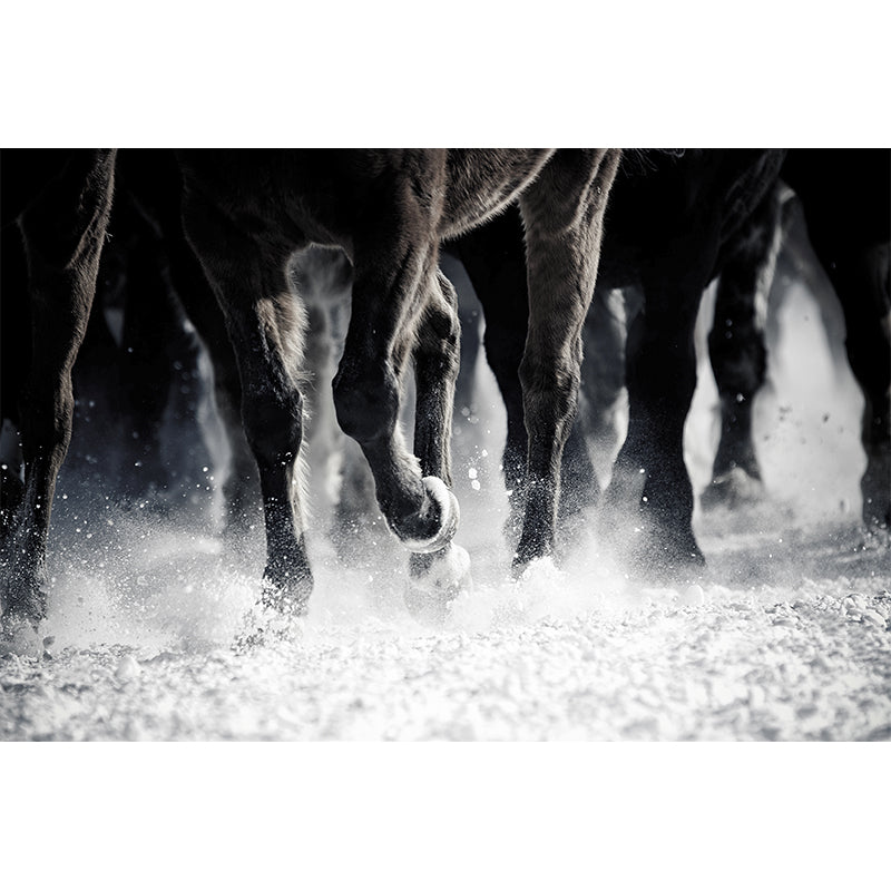 Pastel Color Running Horse Mural Wallpaper Animals Contemporary Stain-Proof Wall Art