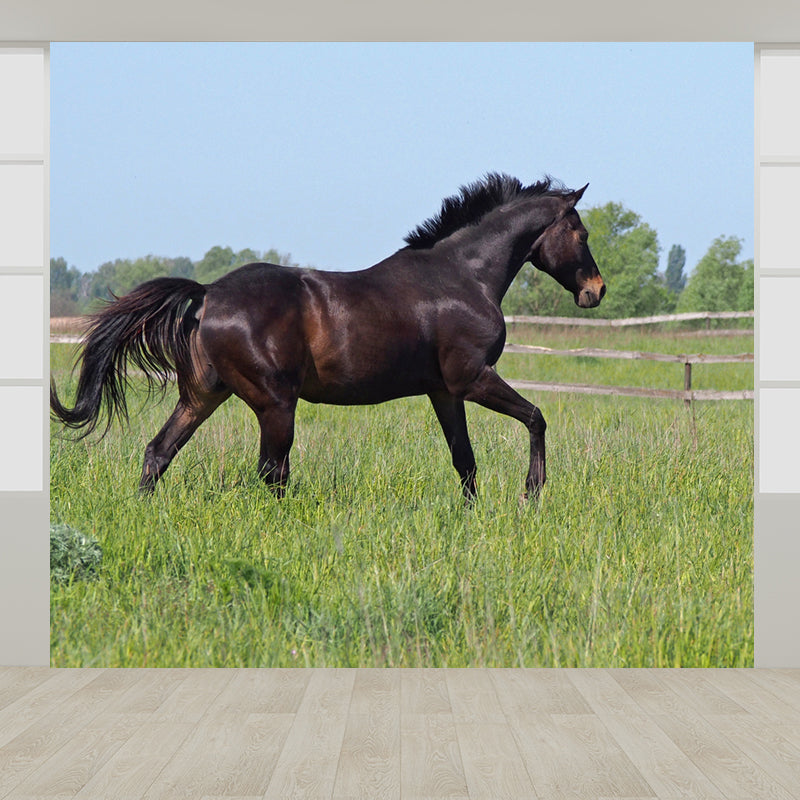 Pastel Color Running Horse Mural Wallpaper Animals Contemporary Stain-Proof Wall Art