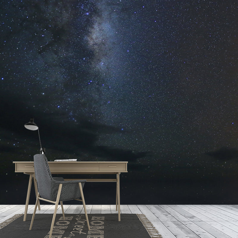 Asteroid Galaxy Wall Mural Decal Contemporary Non-Woven Fabric Wall Art in Black