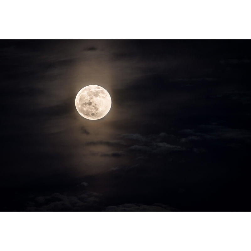 Modern Pastel Moonshine Mural for Bedroom Customized Wall Decor in Black and White