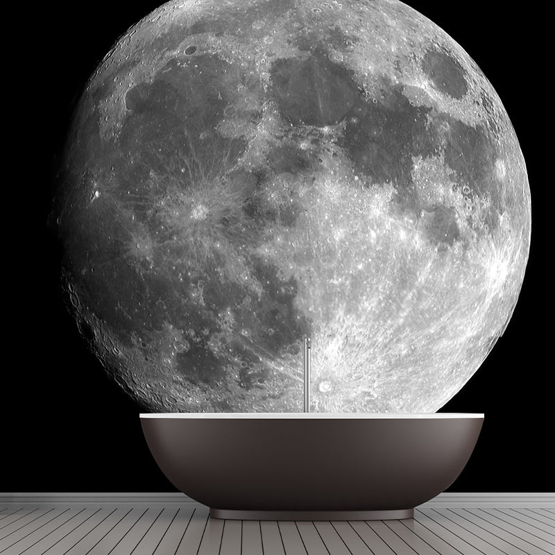 Planet Mercury Wall Paper Mural Black-Grey-White Contemporary Wall Decor for Home