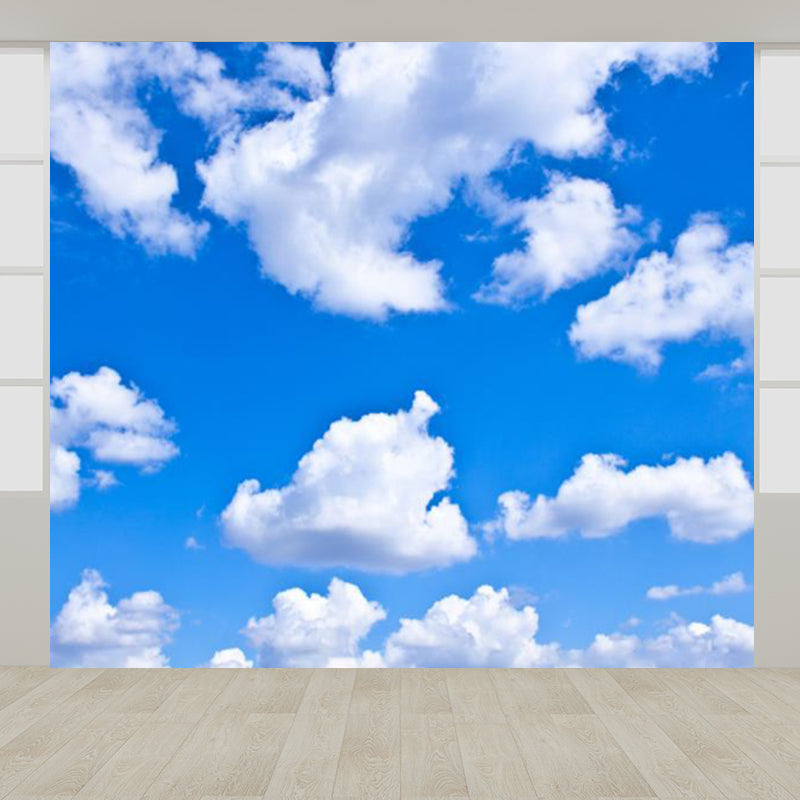 Huge Sky View Mural for Bathroom Natural Landscape Wall Art in Light Color, Stain Resistant