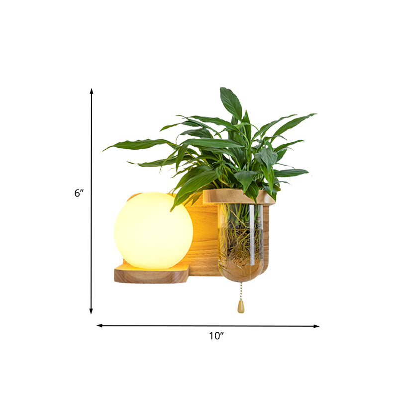 Globe en bois / cylindre Masque Gamique Nordic Cream Glass 1 Bulbe de chambre à coucher Lumière avec pot de plante et chaîne de traction