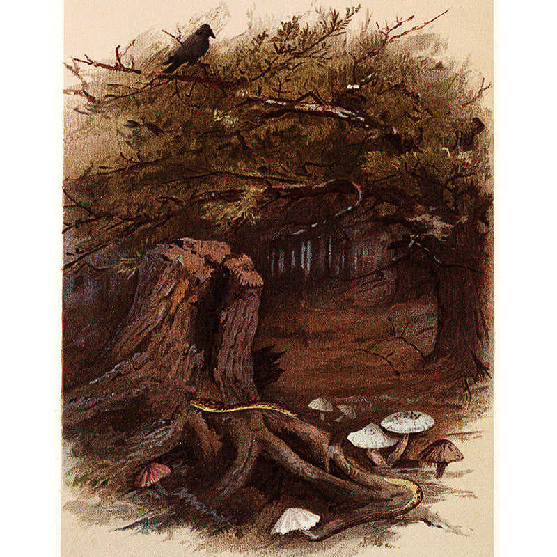 Large Woodland and Bird Mural Wallpaper Modern Luxuriant Forest Wall Decor in Brown