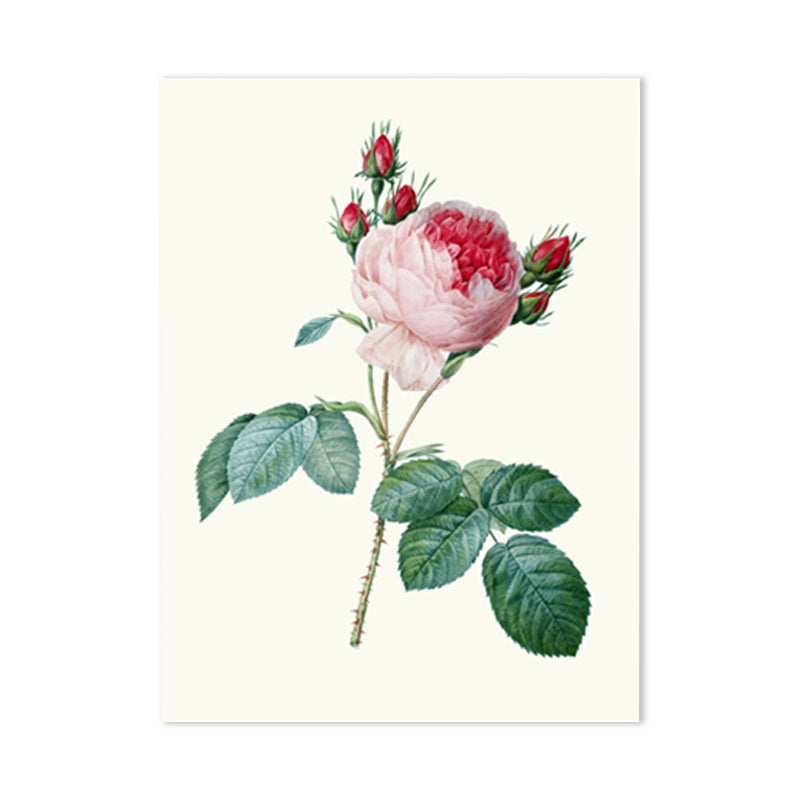 Light Color Rose Flower Pattern Wrapped Canvas Textured Modern Dining Room Painting