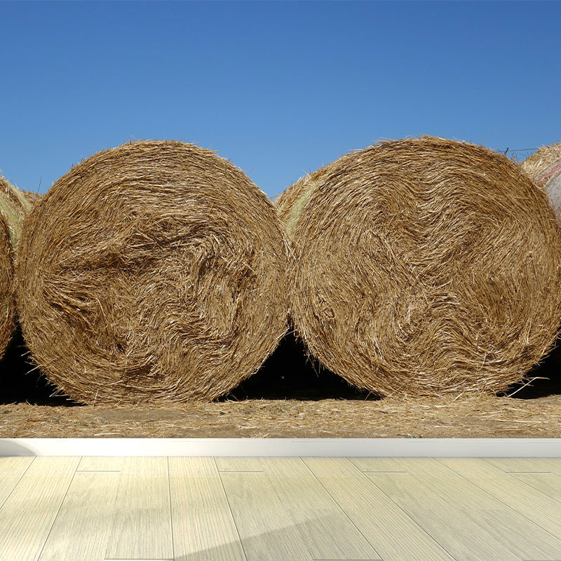 Photo Print Straws Wall Mural Decal for Dining Room, Light Color, Custom Size Available