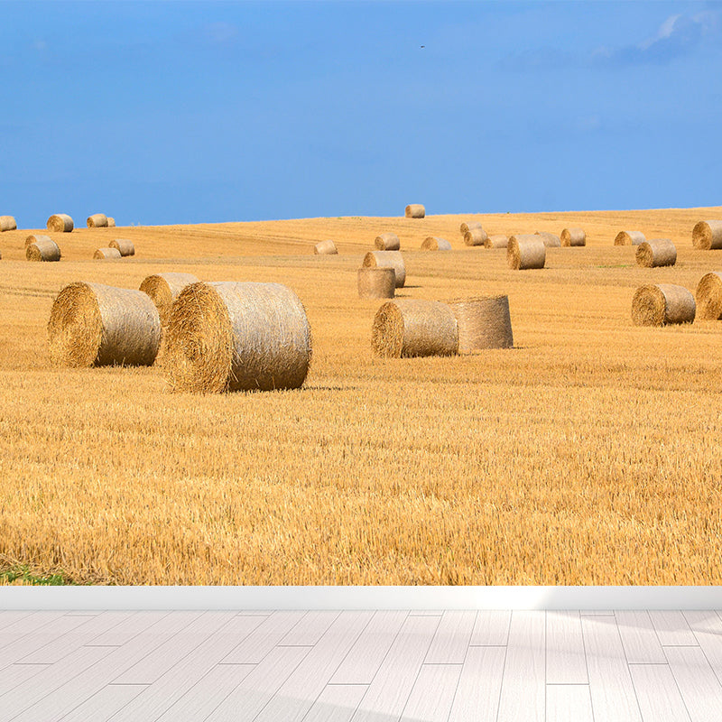 Photo Print Straws Wall Mural Decal for Dining Room, Light Color, Custom Size Available