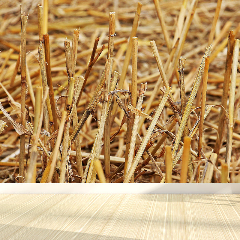 Photo Print Straws Wall Mural Decal for Dining Room, Light Color, Custom Size Available