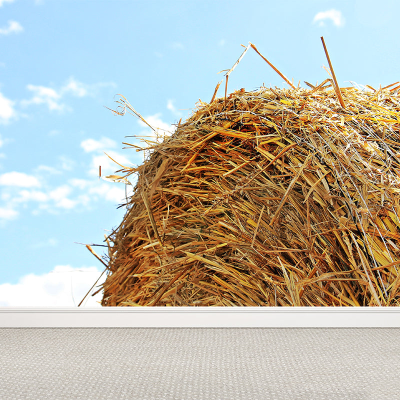 Photo Print Straws Wall Mural Decal for Dining Room, Light Color, Custom Size Available