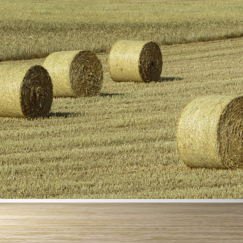 Photo Print Straws Wall Mural Decal for Dining Room, Light Color, Custom Size Available