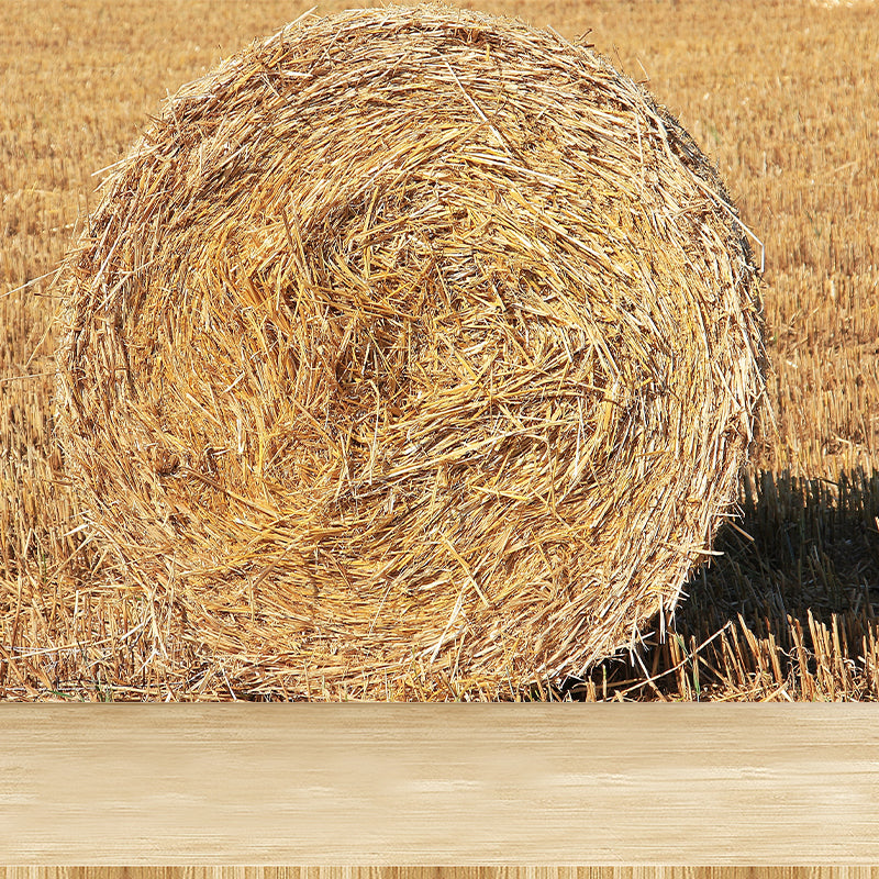 Huge Stalk Stubble Mural Decal Living Room Nature Scenery Wall Covering in Light Color, Waterproof