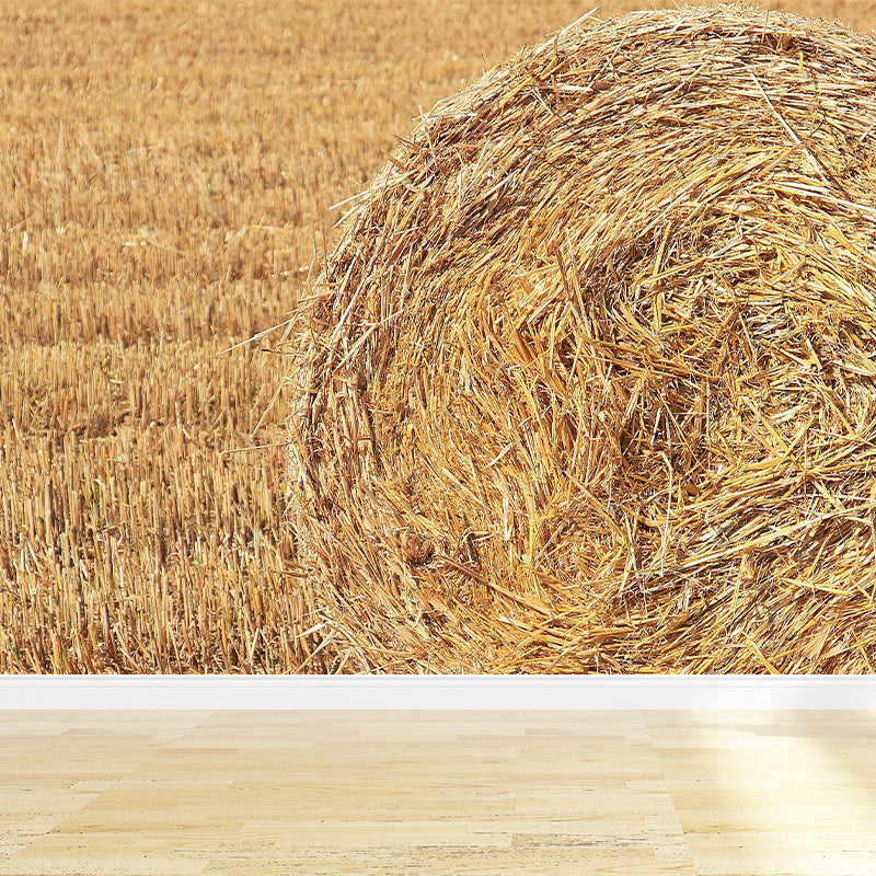 Huge Stalk Stubble Mural Decal Living Room Nature Scenery Wall Covering in Light Color, Waterproof