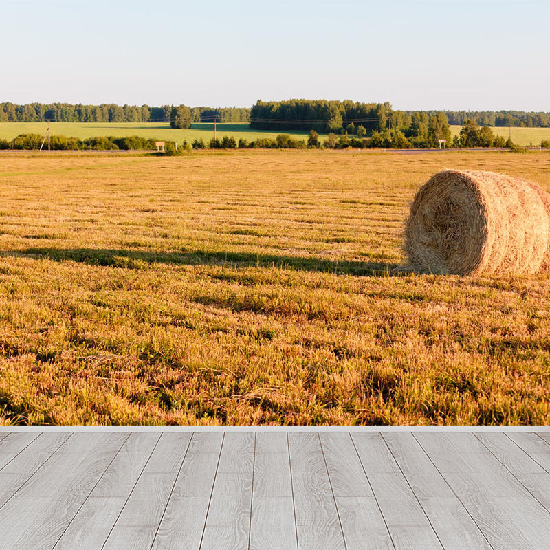 Farmland Haystack Mural Wallpaper Contemporary Non-Woven Fabric Wall Decor for Home