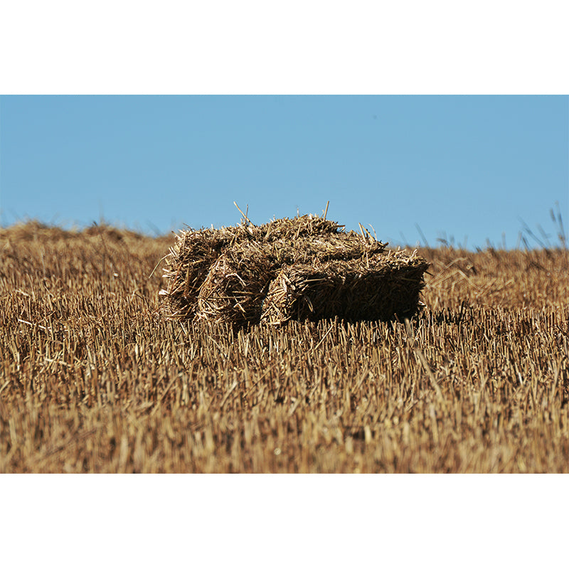 Farmland Haystack Mural Wallpaper Contemporary Non-Woven Fabric Wall Decor for Home